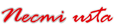Necmi Usta Logo